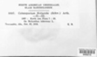 Image Associated With the Occurence